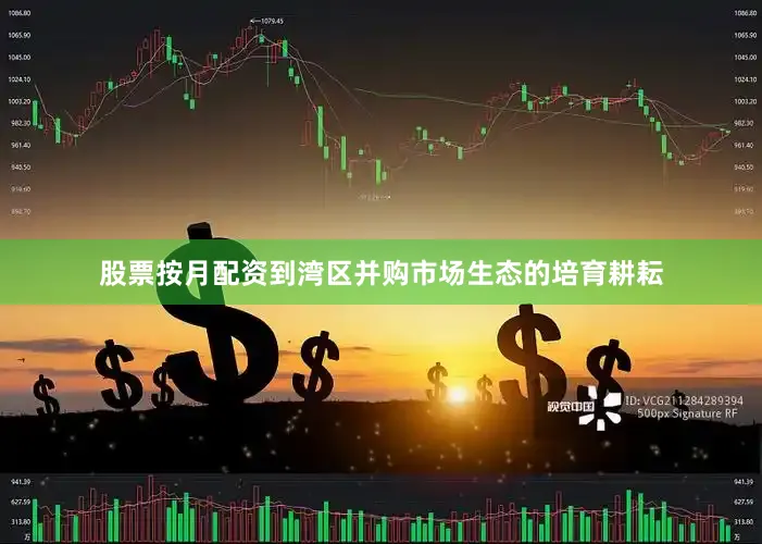 股票按月配资到湾区并购市场生态的培育耕耘